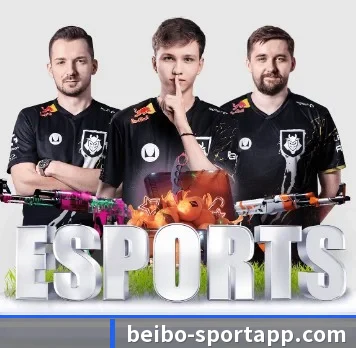 贝博足球 APP | BEIBOSPORTS